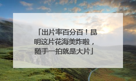 出片率百分百！昆明这片花海美炸啦，随手一拍就是大片