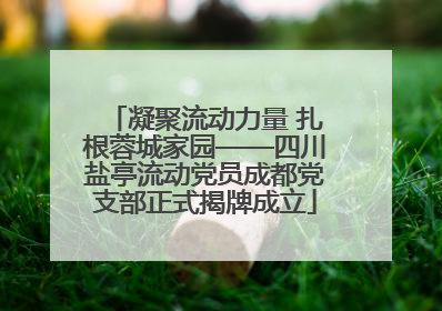 凝聚流动力量 扎根蓉城家园——四川盐亭流动党员成都党支部正式揭牌成立
