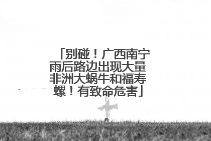别碰！广西南宁雨后路边出现大量非洲大蜗牛和福寿螺！有致命危害