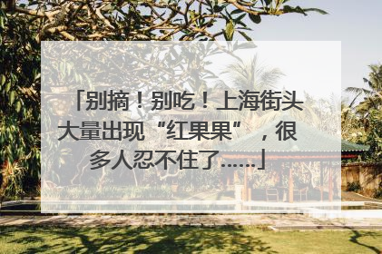 别摘！别吃！上海街头大量出现“红果果”，很多人忍不住了……