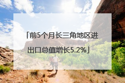 前5个月长三角地区进出口总值增长5.2%