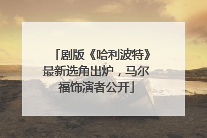 剧版《哈利波特》最新选角出炉，马尔福饰演者公开