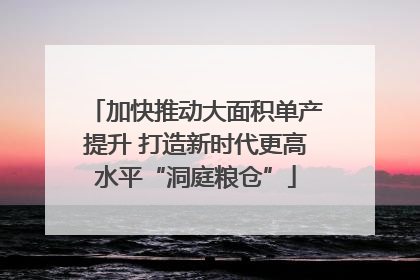 加快推动大面积单产提升 打造新时代更高水平“洞庭粮仓”