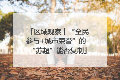 区域观察丨“全民参与+城市荣誉”的“苏超”能否复制