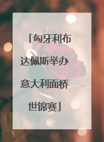 匈牙利布达佩斯举办意大利面桥世锦赛