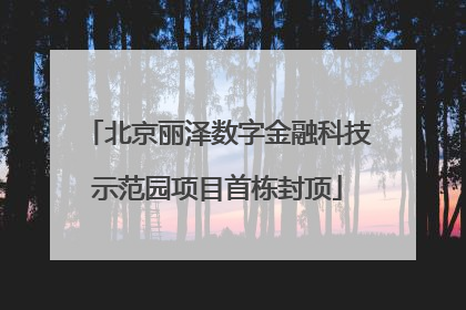 北京丽泽数字金融科技示范园项目首栋封顶