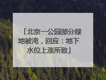 北京一公园部分绿地被淹，回应：地下水位上涨所致