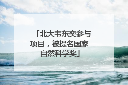 北大韦东奕参与项目，被提名国家自然科学奖