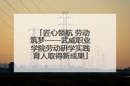 匠心领航 劳动筑梦——武威职业学院劳动研学实践育人取得新成果