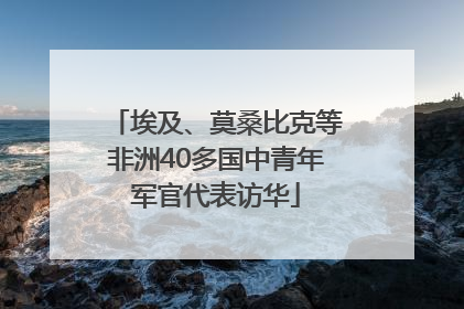 埃及、莫桑比克等非洲40多国中青年军官代表访华