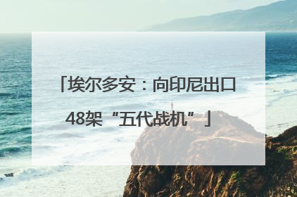 埃尔多安：向印尼出口48架“五代战机”