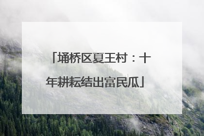 埇桥区夏王村：十年耕耘结出富民瓜