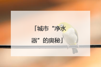 城市“净水器”的奥秘