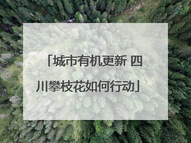 城市有机更新 四川攀枝花如何行动