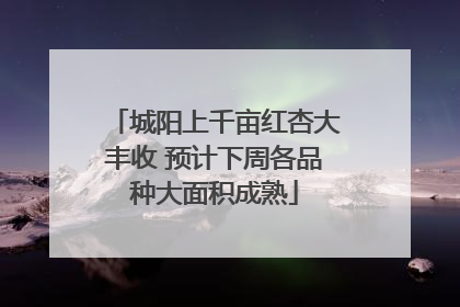城阳上千亩红杏大丰收 预计下周各品种大面积成熟