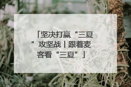 坚决打赢“三夏”攻坚战丨跟着麦客看“三夏”