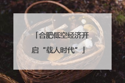 合肥低空经济开启“载人时代”