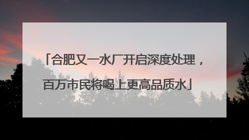 合肥又一水厂开启深度处理，百万市民将喝上更高品质水