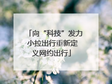 向“科技”发力 小拉出行重新定义网约出行