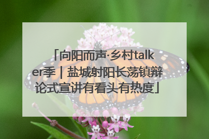 向阳而声·乡村talker季｜盐城射阳长荡镇辩论式宣讲有看头有热度
