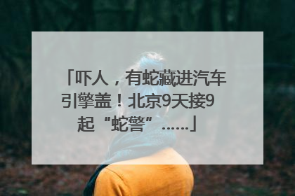 吓人，有蛇藏进汽车引擎盖！北京9天接9起“蛇警”……