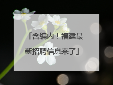 含编内！福建最新招聘信息来了
