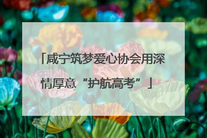 咸宁筑梦爱心协会用深情厚意“护航高考”