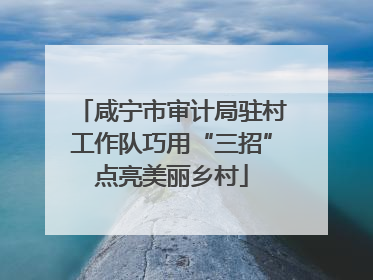咸宁市审计局驻村工作队巧用“三招”点亮美丽乡村