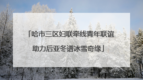 哈市三区妇联牵线青年联谊 助力后亚冬谱冰雪奇缘