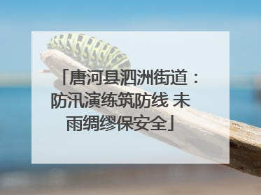 唐河县泗洲街道：防汛演练筑防线 未雨绸缪保安全