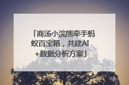 商汤小浣熊牵手蚂蚁百宝箱，共建AI+数据分析方案