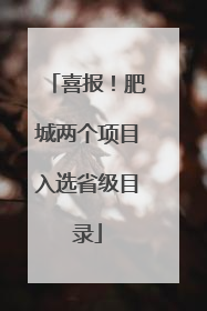 喜报！肥城两个项目入选省级目录
