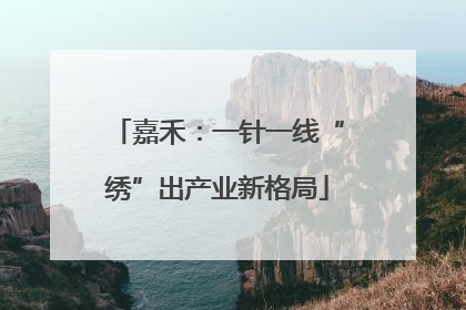 嘉禾：一针一线“绣”出产业新格局