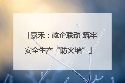 嘉禾：政企联动 筑牢安全生产“防火墙”