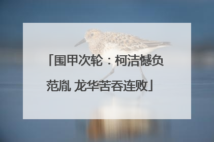 围甲次轮：柯洁憾负范胤 龙华苦吞连败