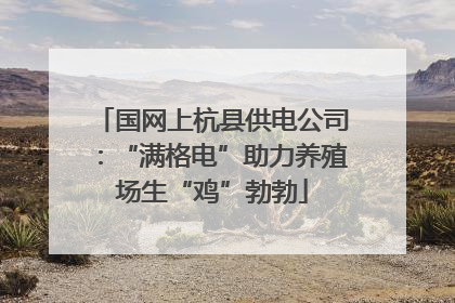 国网上杭县供电公司：“满格电”助力养殖场生“鸡”勃勃