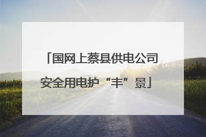 国网上蔡县供电公司安全用电护“丰”景