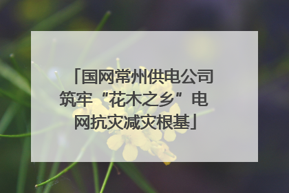国网常州供电公司筑牢“花木之乡”电网抗灾减灾根基