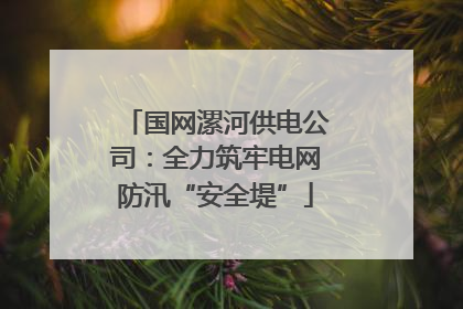 国网漯河供电公司：全力筑牢电网防汛“安全堤”