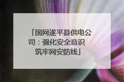国网遂平县供电公司：强化安全意识 筑牢网安防线