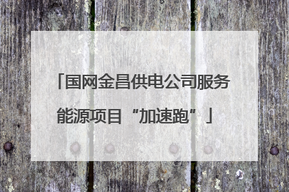 国网金昌供电公司服务能源项目“加速跑”