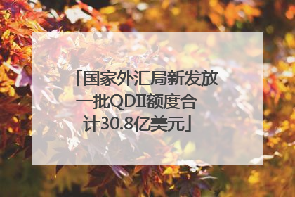 国家外汇局新发放一批QDII额度合计30.8亿美元