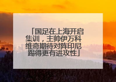 国足在上海开启集训，主帅伊万科维奇期待对阵印尼踢得更有进攻性