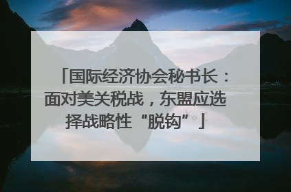 国际经济协会秘书长：面对美关税战，东盟应选择战略性“脱钩”