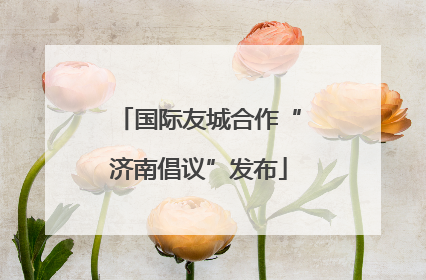 国际友城合作“济南倡议”发布