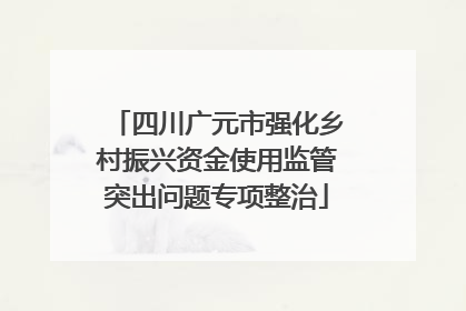 四川广元市强化乡村振兴资金使用监管突出问题专项整治