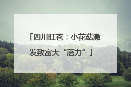 四川旺苍：小花菇激发致富大“蘑力”