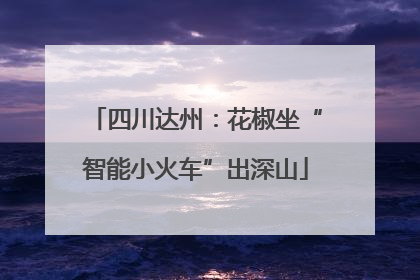四川达州：花椒坐“智能小火车”出深山