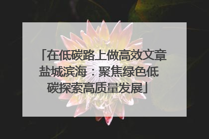 在低碳路上做高效文章 盐城滨海：聚焦绿色低碳探索高质量发展