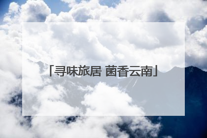寻味旅居 菌香云南